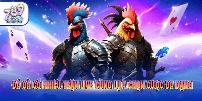 Đá gà có nhiều trận live cùng lựa chọn cược đa dạng
