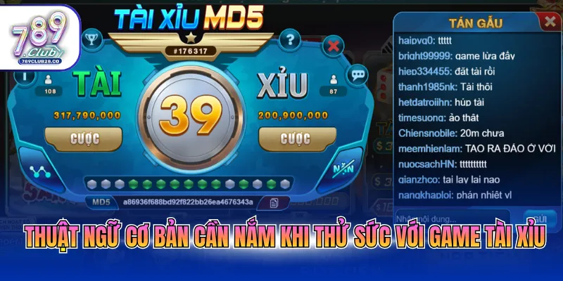 Thuật ngữ cơ bản cần nắm khi thử sức với game tài xỉu